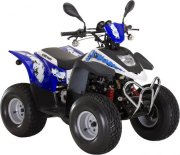 Детский квадроцикл Stels ATV 50 C
